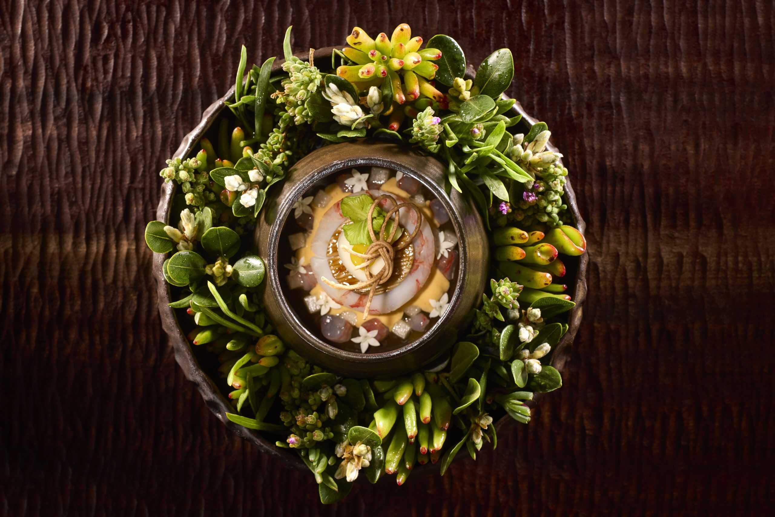 VVP_7758_VVP_7758_20250403_OCEAN_Dish_0190RN-scaled