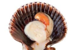 rp288-fb-luxusprodukte-10-260x173