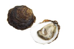 rp288-fb-luxusprodukte-12-260x173