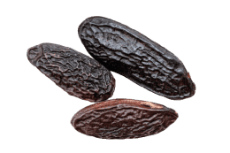 Transgourmet_Freisteller_500x500px3-260x173