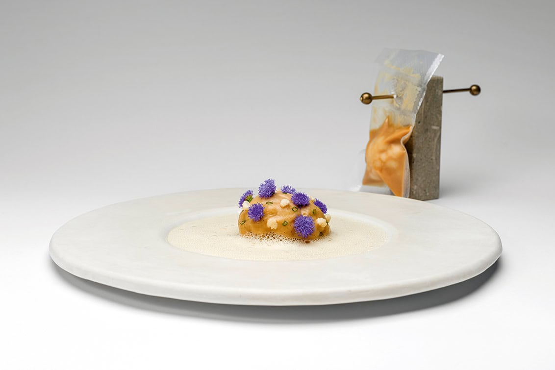 rp293-cotm-isabella-potti-2