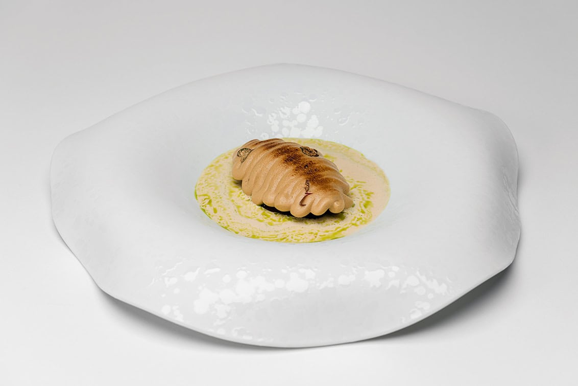 rp293-cotm-isabella-potti-3