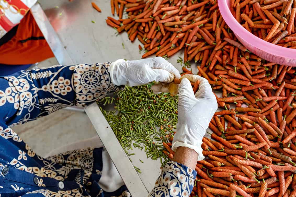 rp293-fb-kambodscha-13