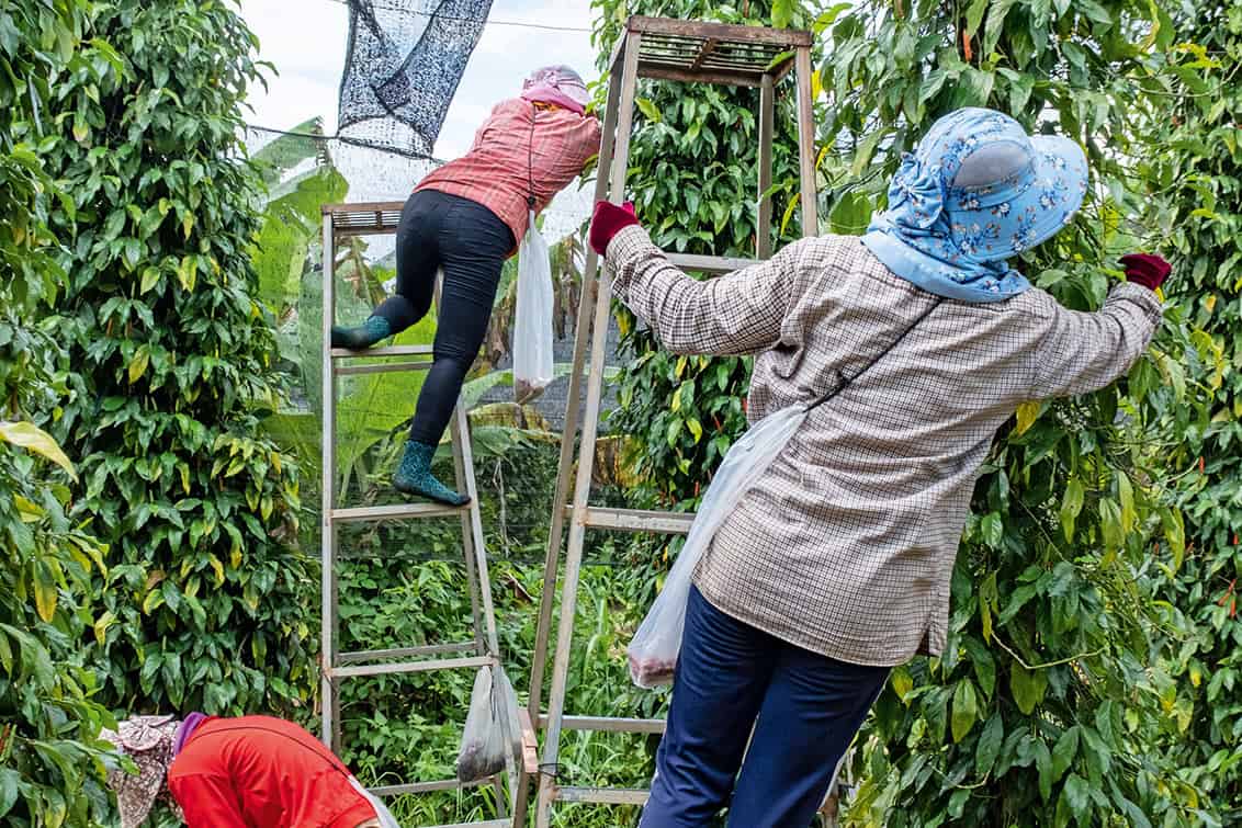 rp293-fb-kambodscha-14