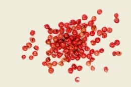 rp293-fb-kambodscha-8-260x173