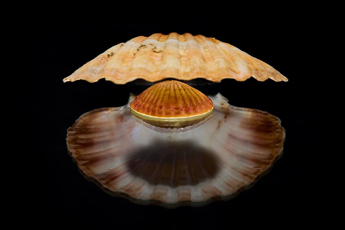 rp293-inspi-gaggan-anand-12