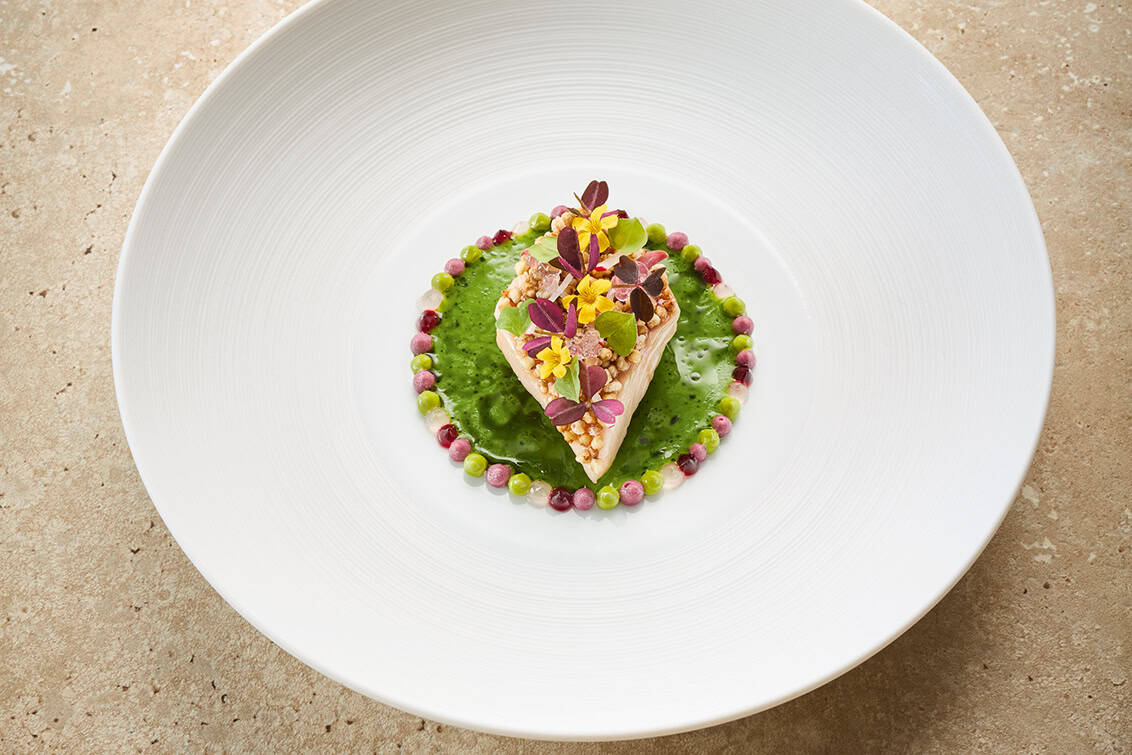 rp293-spst-hangar7-1