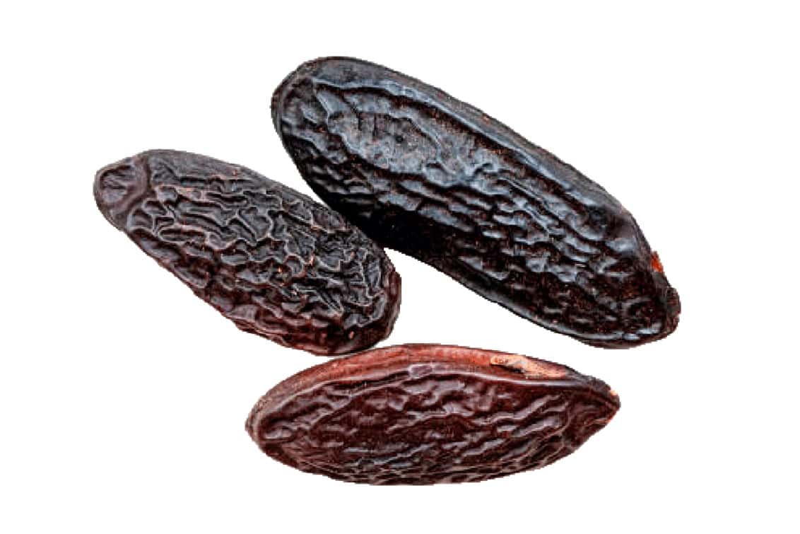 rp293-spst-junge-wilde-8