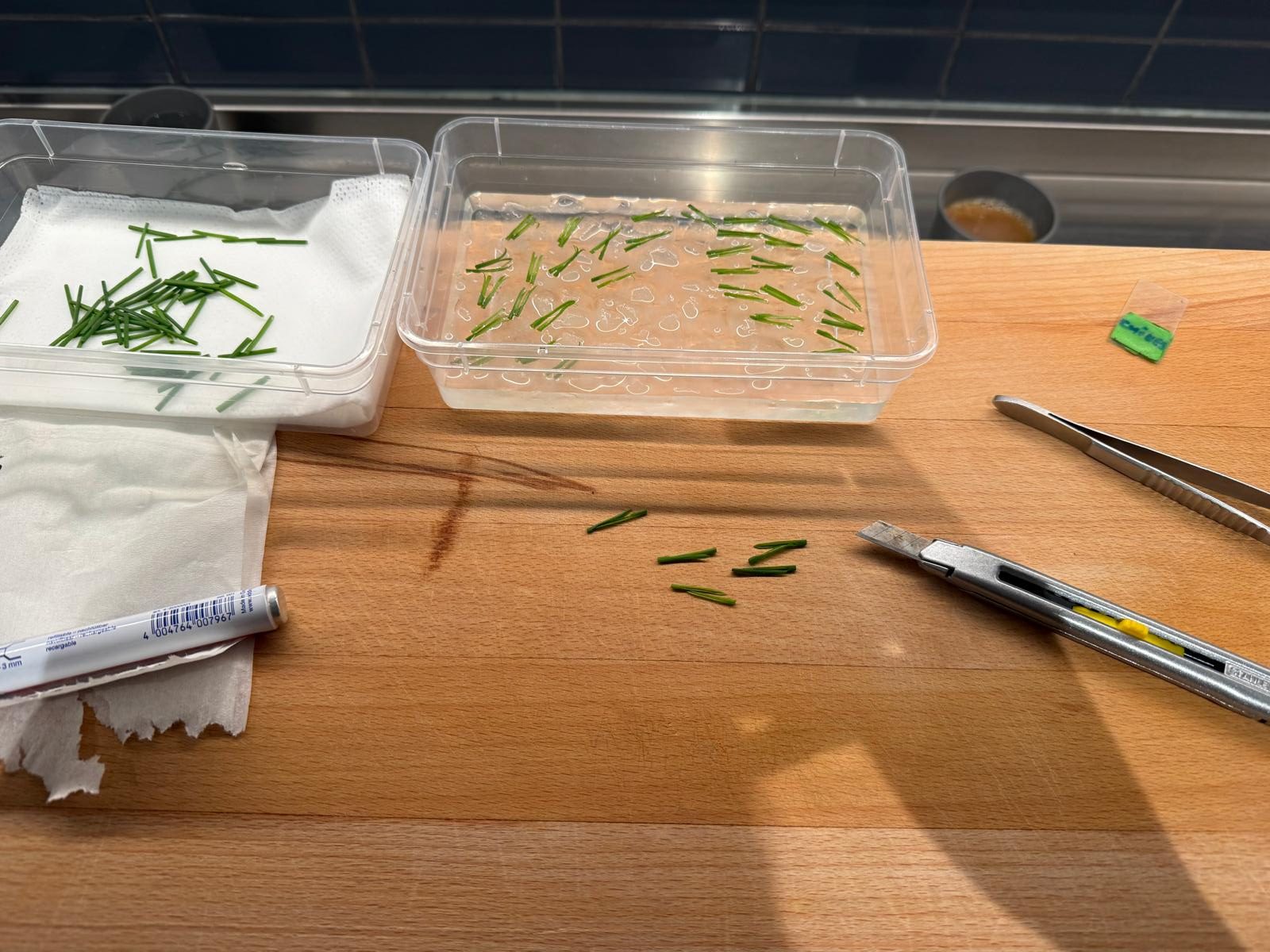 PHOTO-2026-04-07-10-14-19-3-e1775810069498