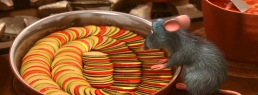 9-Ratatouille