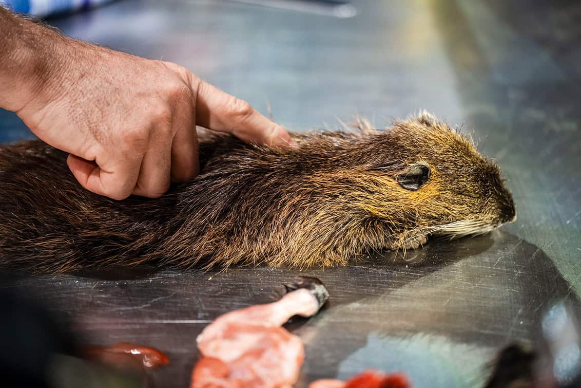 rp288-rpc-nachbericht-12