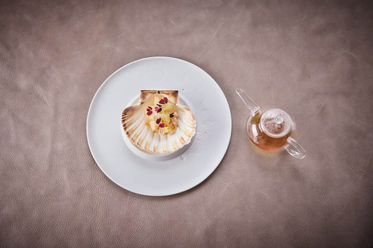 Hangar-Juli_Jakobsmuschel