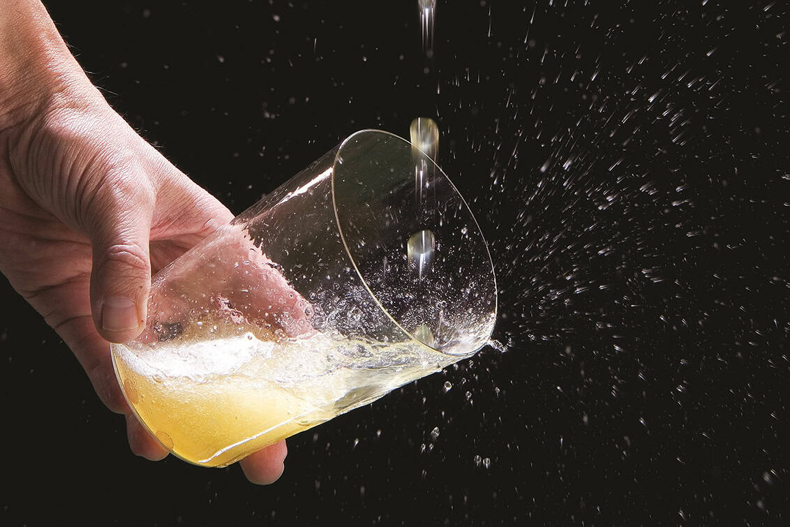 rp289-pr-sidra-de-asturias-3