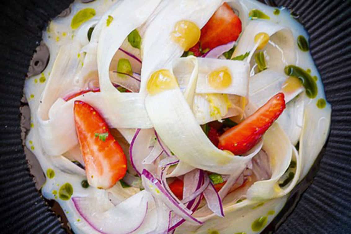 rp290-openings-mikrokosmos-10