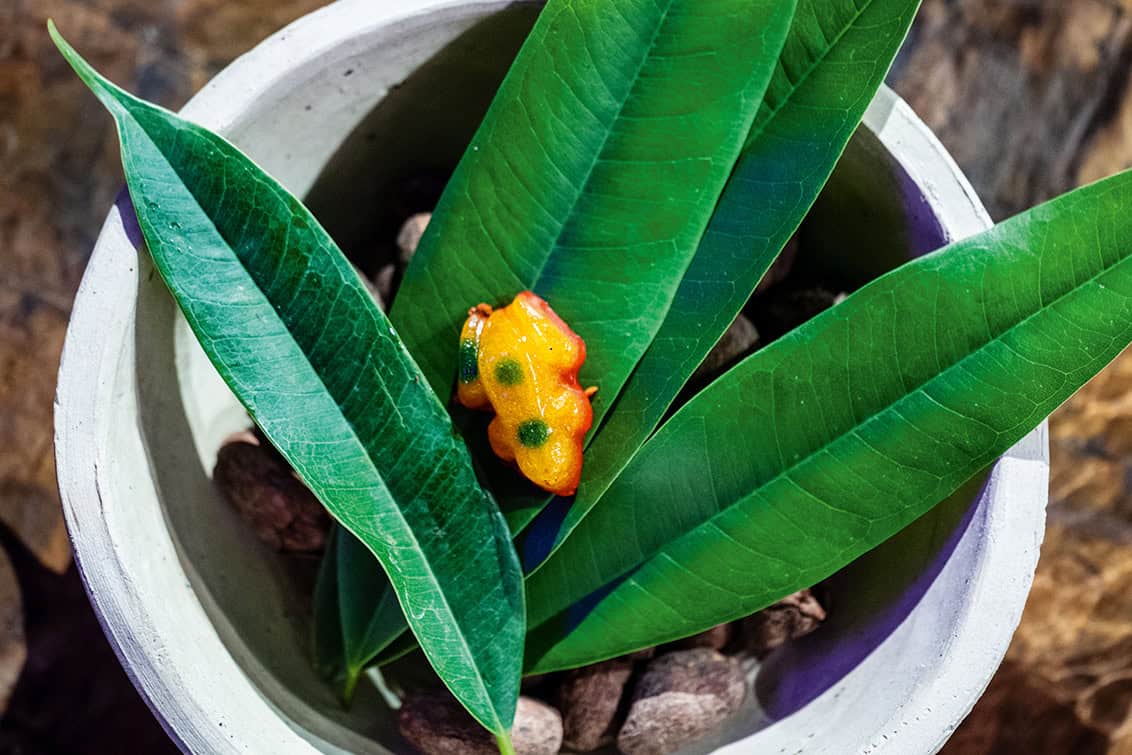 rp291-RPC-Nachbericht-49