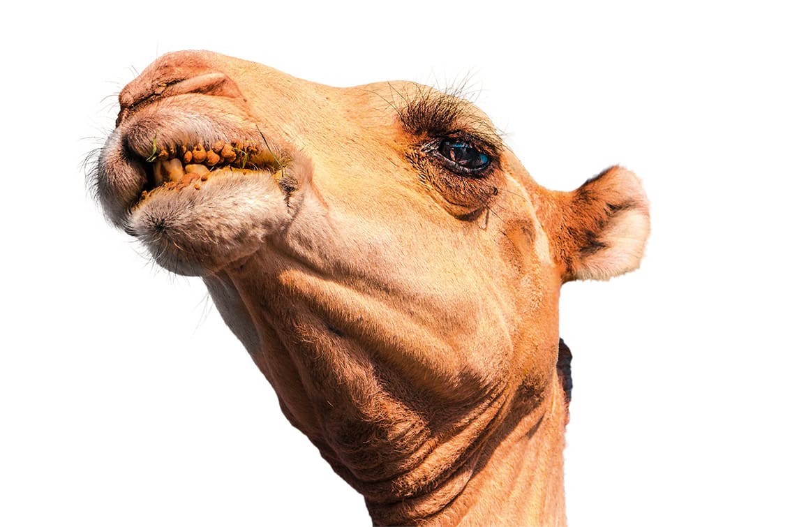 rp292-fb-glaubensfrage-22